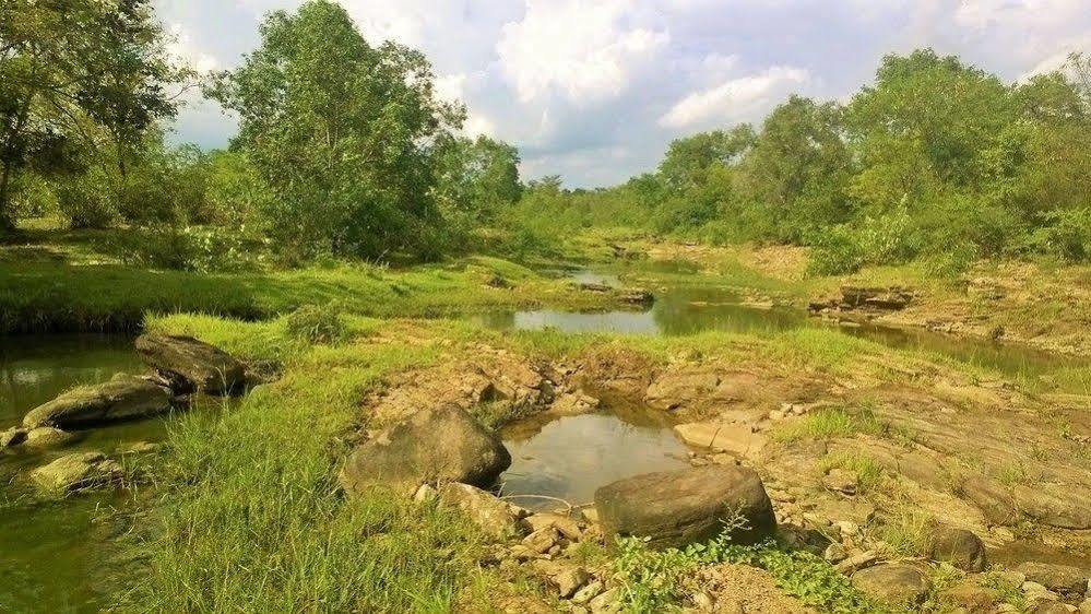 Kula Kula Luxury Camping Resort Udawalawe Εξωτερικό φωτογραφία