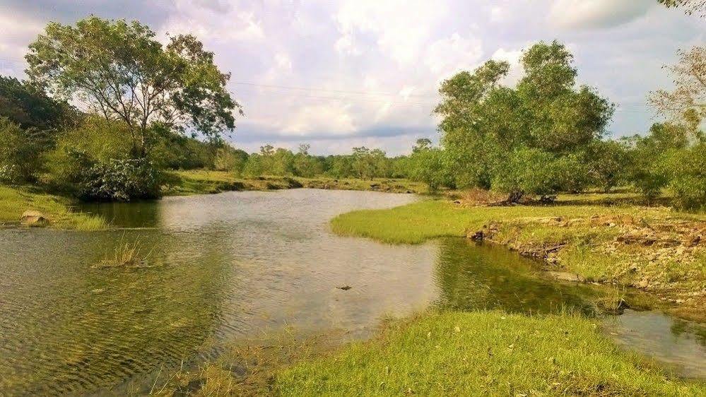Kula Kula Luxury Camping Resort Udawalawe Εξωτερικό φωτογραφία